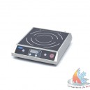 Plaque de cuisson à induction 2000W  L290 x P355 x H62 mm