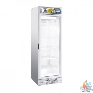 /13767-25187-thickbox/vitrine-vertical-10-25porte-vitree-400litres.jpg