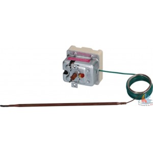 /14692-28736-thickbox/thermostat-de-securite-triphase-580c.jpg