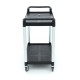 Chariot de service 2 étagères en plastique L103 x P50,5 x H96cm