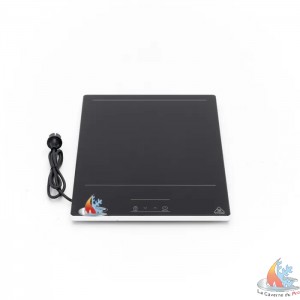 /16570-34896-thickbox/plaque-matenir-au-chaud-de-65c-a-105c-230v-max-105c-l38xp55-cm.jpg