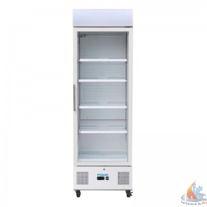 /16688-35307-thickbox/vitrine-refrigeree-positive-blanche-336l-l620xp570xh1982-mm.jpg