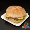 plateau carton hamburger