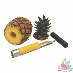 /7376-10705-thickbox/vide-pomme-et-ananas.jpg