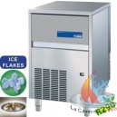 Machine &agrave; glace granul&eacute;e 67kg avec r&eacute;serve de 10kg